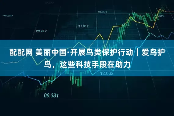 配配网 美丽中国·开展鸟类保护行动｜爱鸟护鸟，这些科技手段在助力