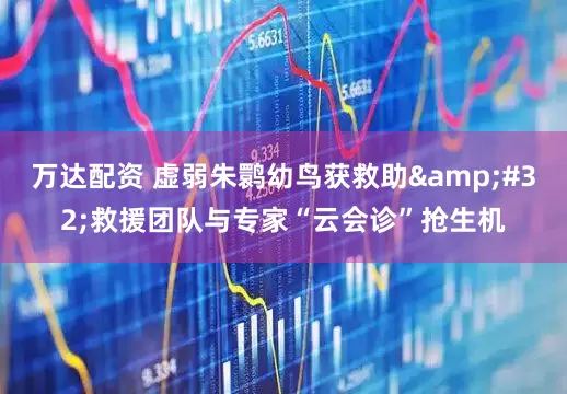万达配资 虚弱朱鹮幼鸟获救助&#32;救援团队与专家“云会诊”抢生机