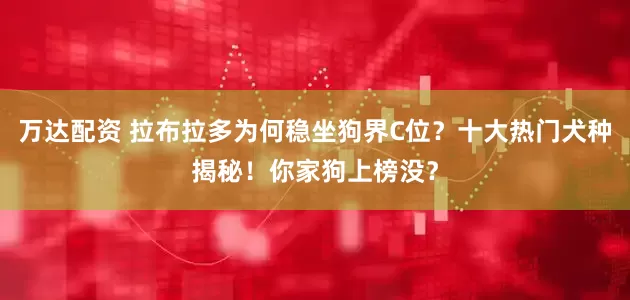 万达配资 拉布拉多为何稳坐狗界C位？十大热门犬种揭秘！你家狗上榜没？