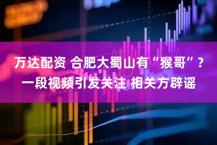 万达配资 合肥大蜀山有“猴哥”？一段视频引发关注 相关方辟谣